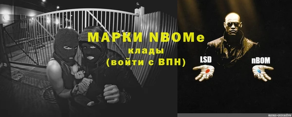 стафф Новозыбков