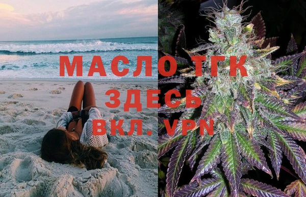 хмурый Ветлуга