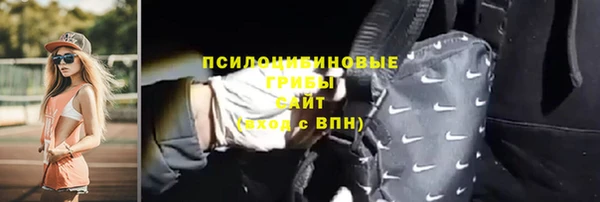 прущий лед Нея
