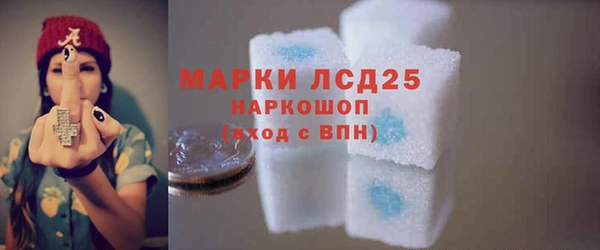 стафф Новозыбков