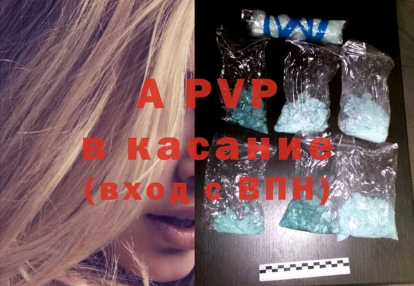 стафф Новозыбков