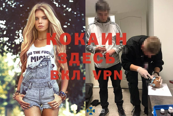 каннабис Новодвинск