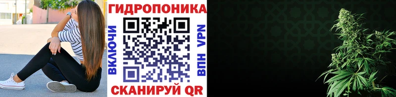 как найти наркотики  Боровичи  Бошки Шишки сатива 