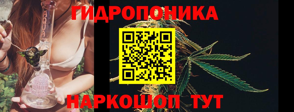 Конопля White Widow Боровичи